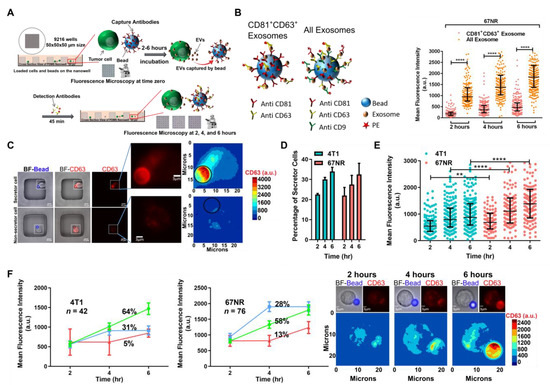 Cancers | Free Full-Text | Single-Cell Cloning of Breast Cancer Cells ...