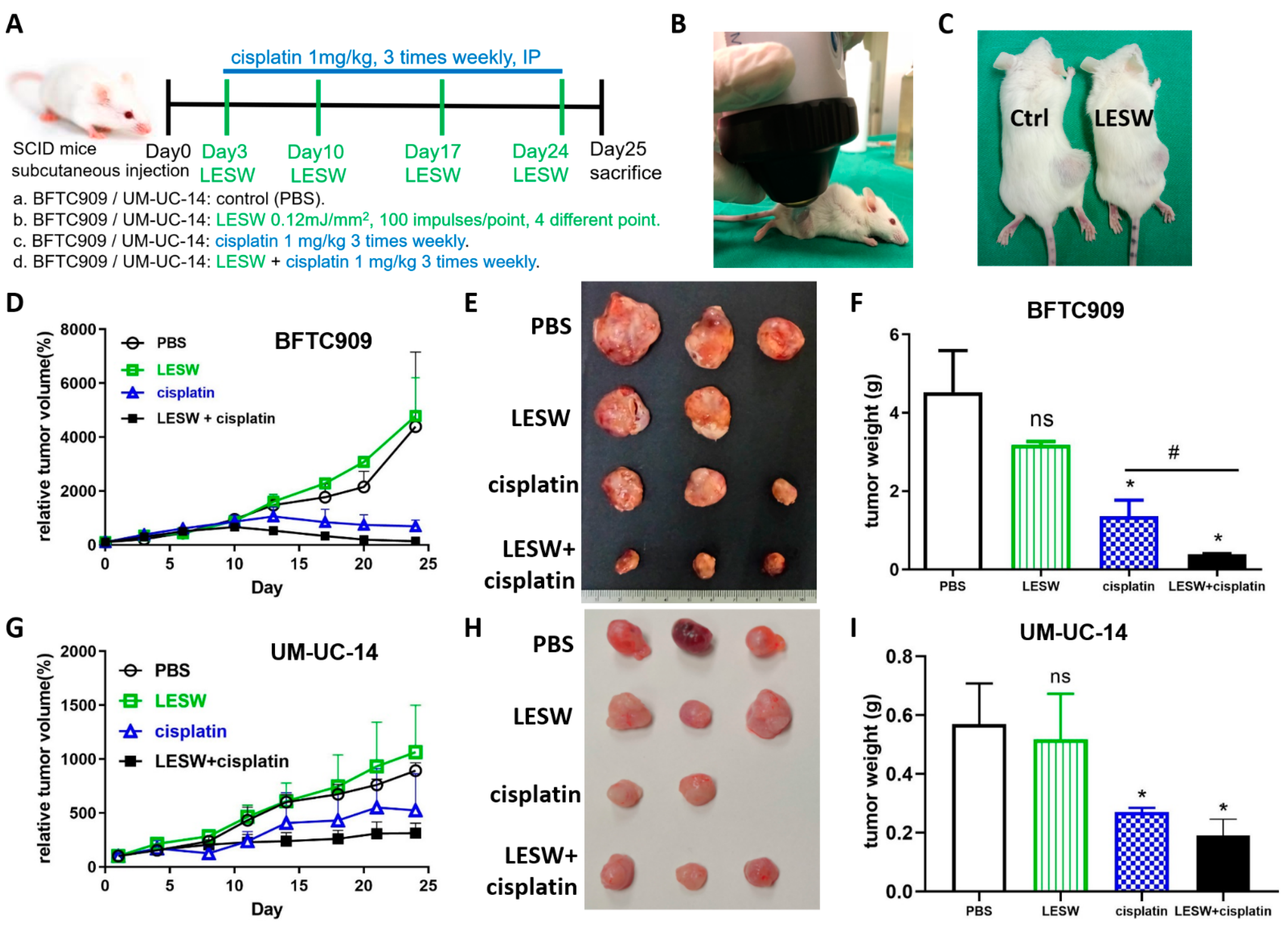 Cancers Free Full Text Extracorporeal Shock Wave Enhances the