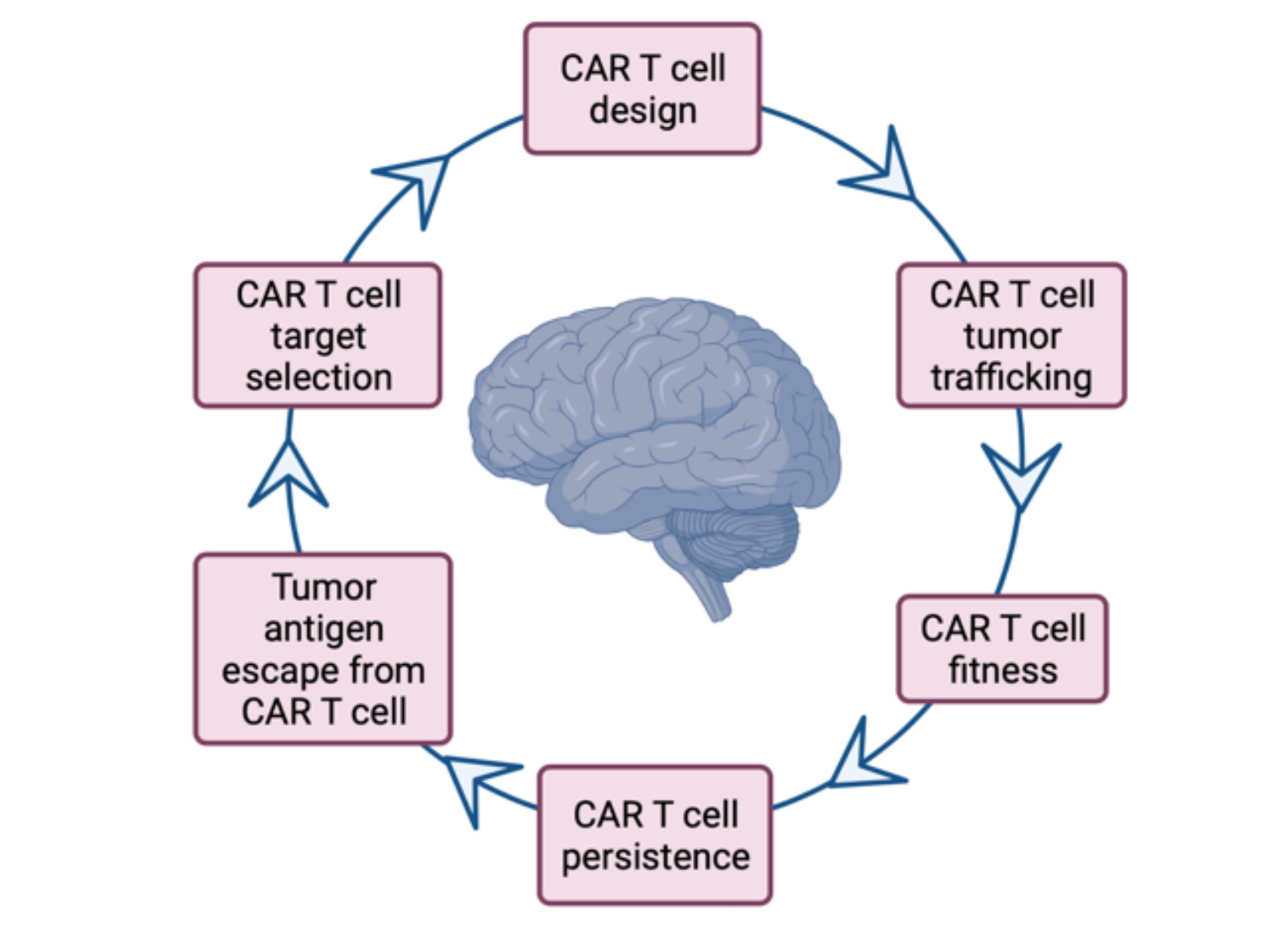 Brain Tumor Breakthroughs: Pediatric Glioma Trials & T Cells
