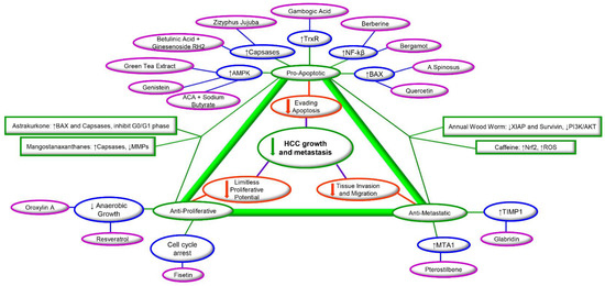 長田 Ligand-Gated Ion Channels: New Insights into Neurological