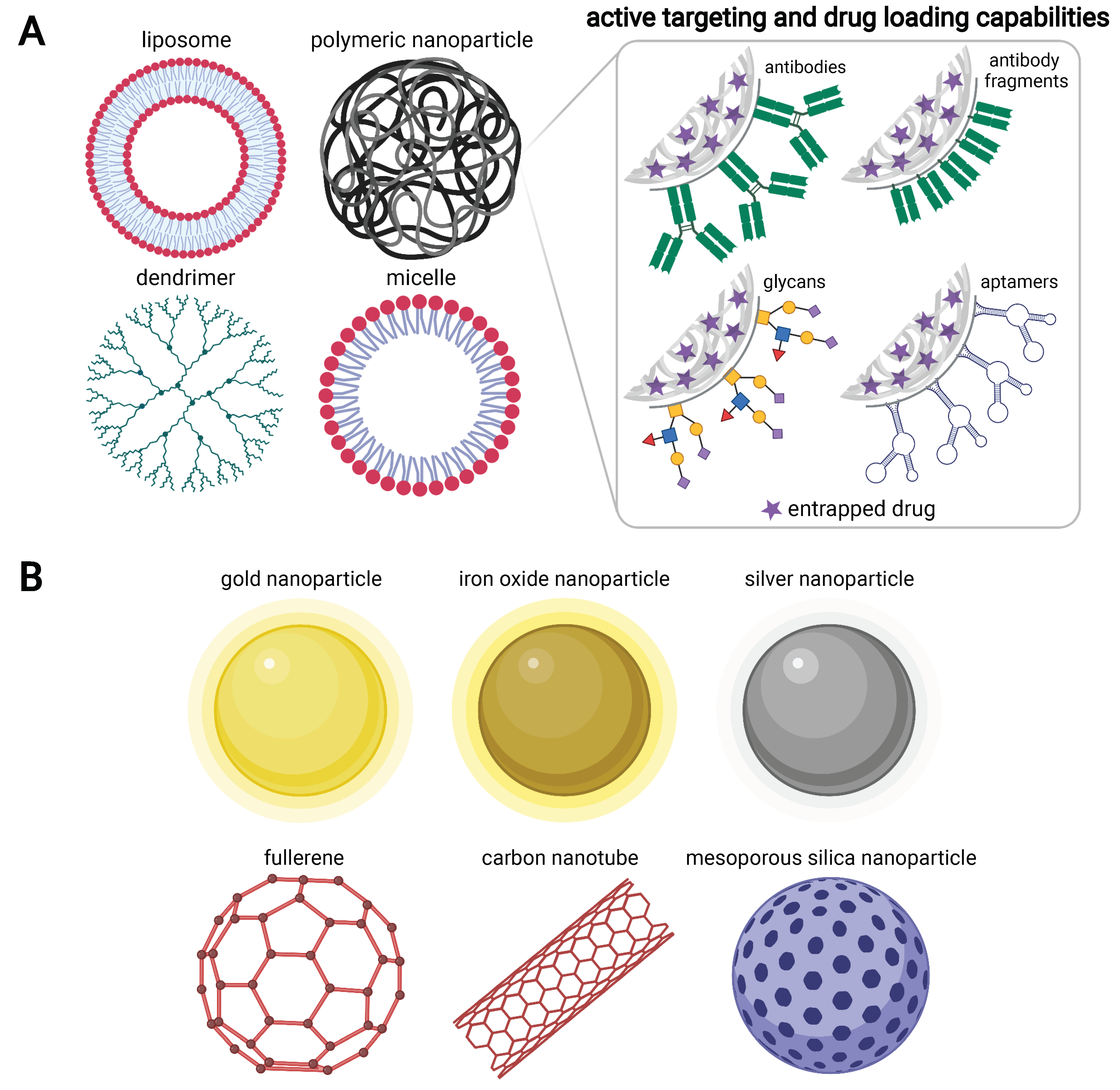 Conjugated Nanoparticles for Solid Tumor Theranostics: Unraveling