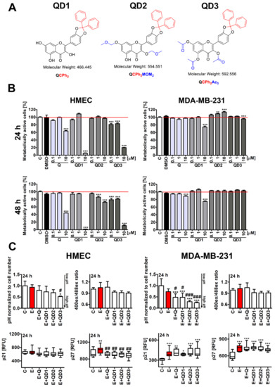 Cancers | Free Full-Text | Senolysis-Based Elimination of