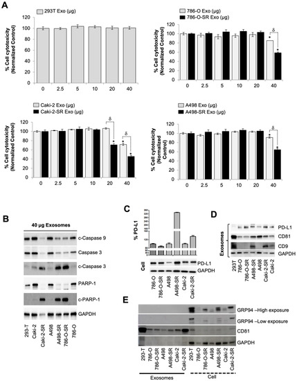 Cancers | Free Full-Text | Combination of Tipifarnib and Sunitinib ...