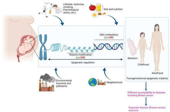 Epigenetic Determinants of Racial Disparity in Breast Cancer: Looking ...