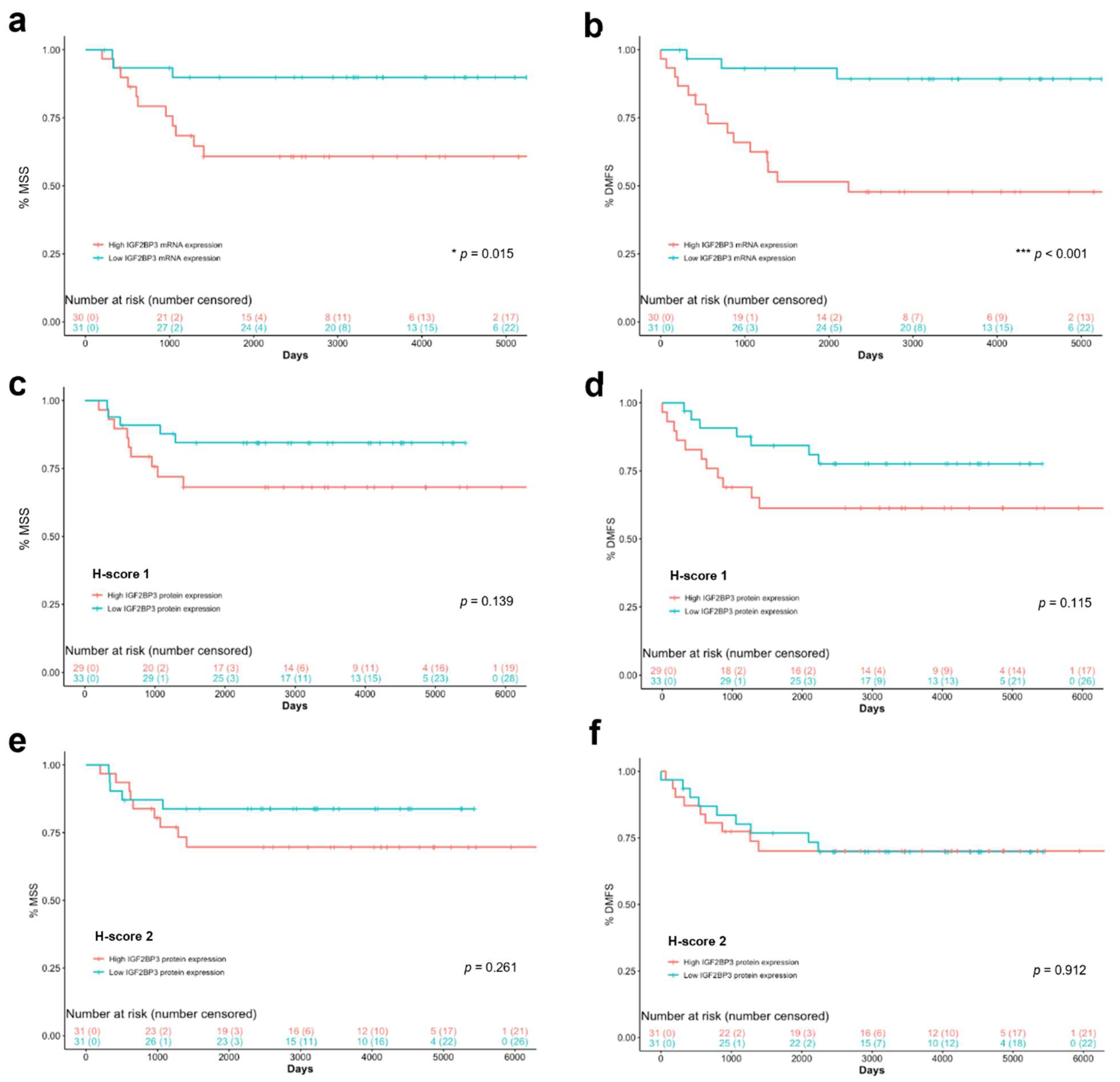 Cancers | Free Full-Text | Prognostic Value Of IGF2 MRNA-Binding ...