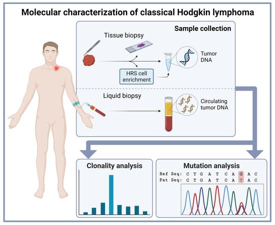 Plagen noodsituatie Picknicken Cancers | Free Full-Text | Novel Approaches in Molecular Characterization  of Classical Hodgkin Lymphoma