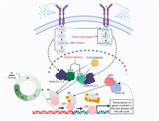 Cancers | Free Full-Text | Precision Medicine Highlights Dysregulation ...