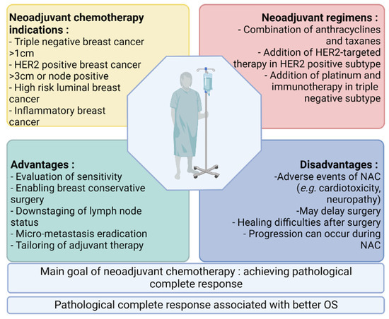 Cancers Special Issue Neoadjuvant Therapy For Breast Cancer Cancers Special Issue Neoadjuvant Therapy For Breast Cancer