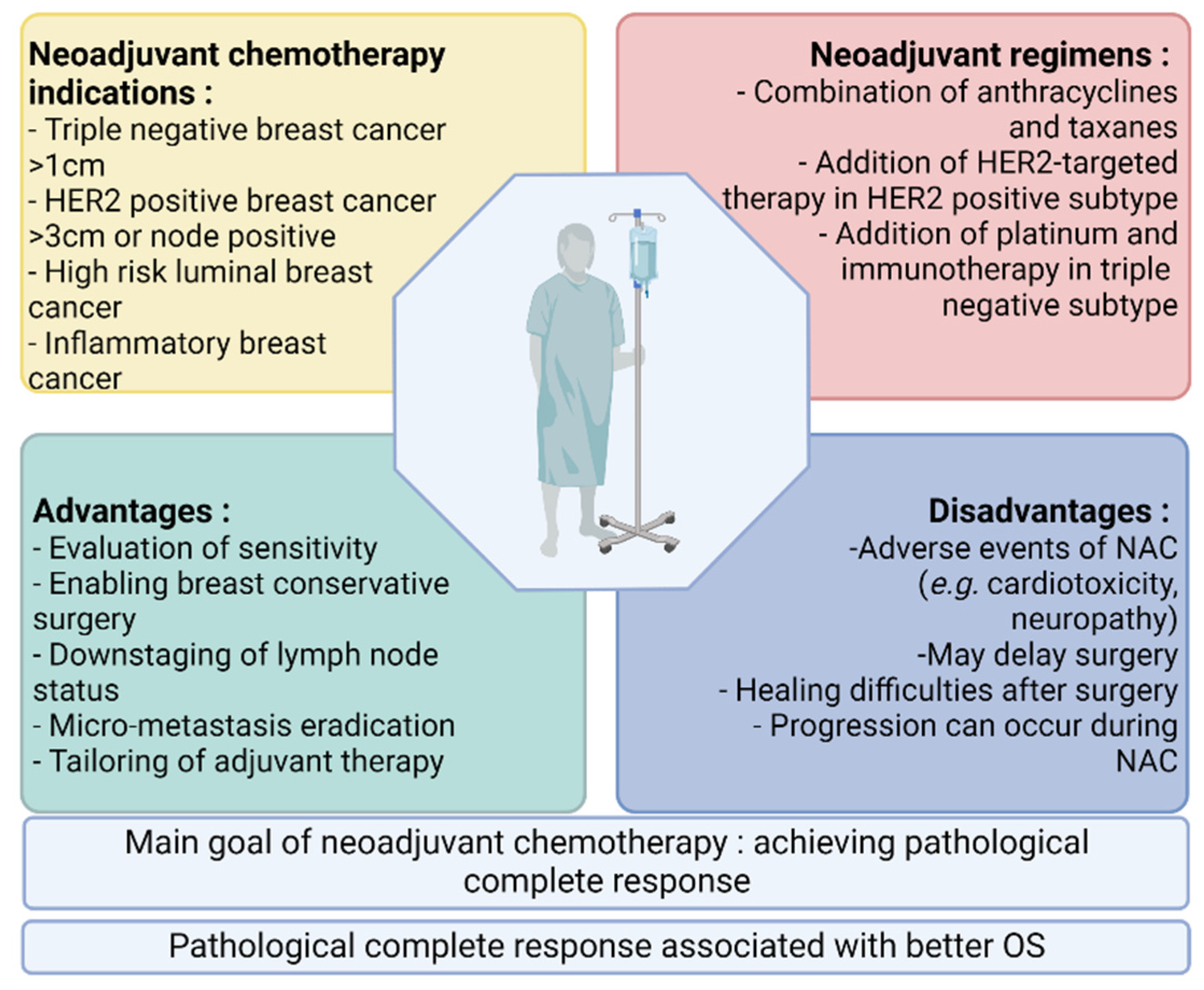 Noninvasive assessment of characteristics of novel anti-HER2