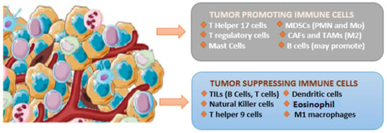 Cancers | Free Full-Text | Review Article: Immune Landscape and ...