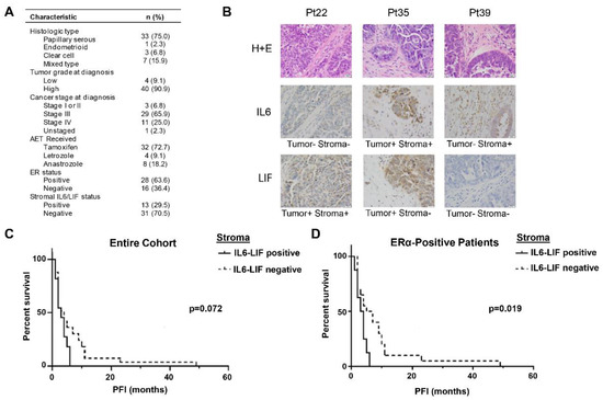 Inhibition of Tumor Microenvironment Cytokine Signaling Sensitizes ...