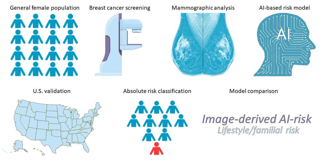 A Deep Learning Decision Support Tool to Improve Risk Stratification and  Reduce Unnecessary Biopsies in BI-RADS 4 Mammograms