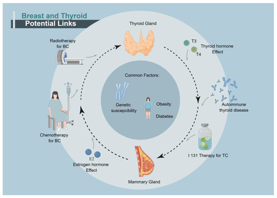 cancers-free-full-text-links-between-breast-and-thyroid-cancer