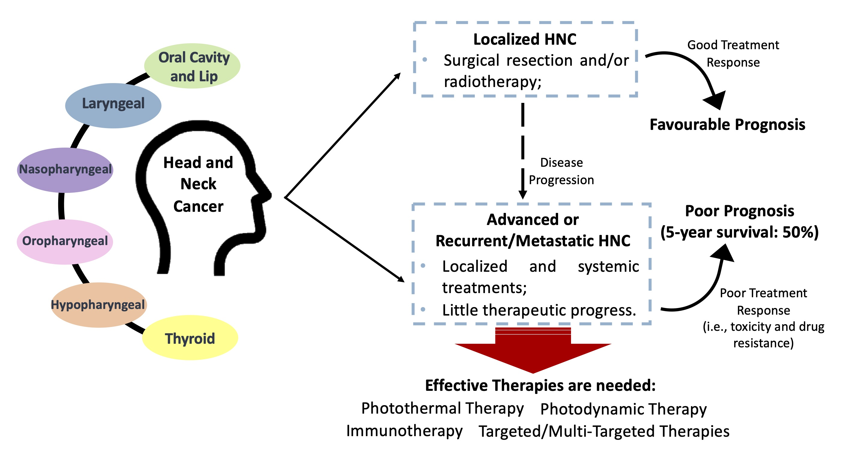 Cancers | Free Full-Text | Current Insights and Progress in the ...