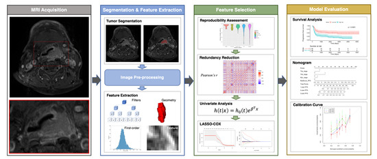 Cancers | Free Full-Text | MRI Radiomics for Predicting Survival in ...