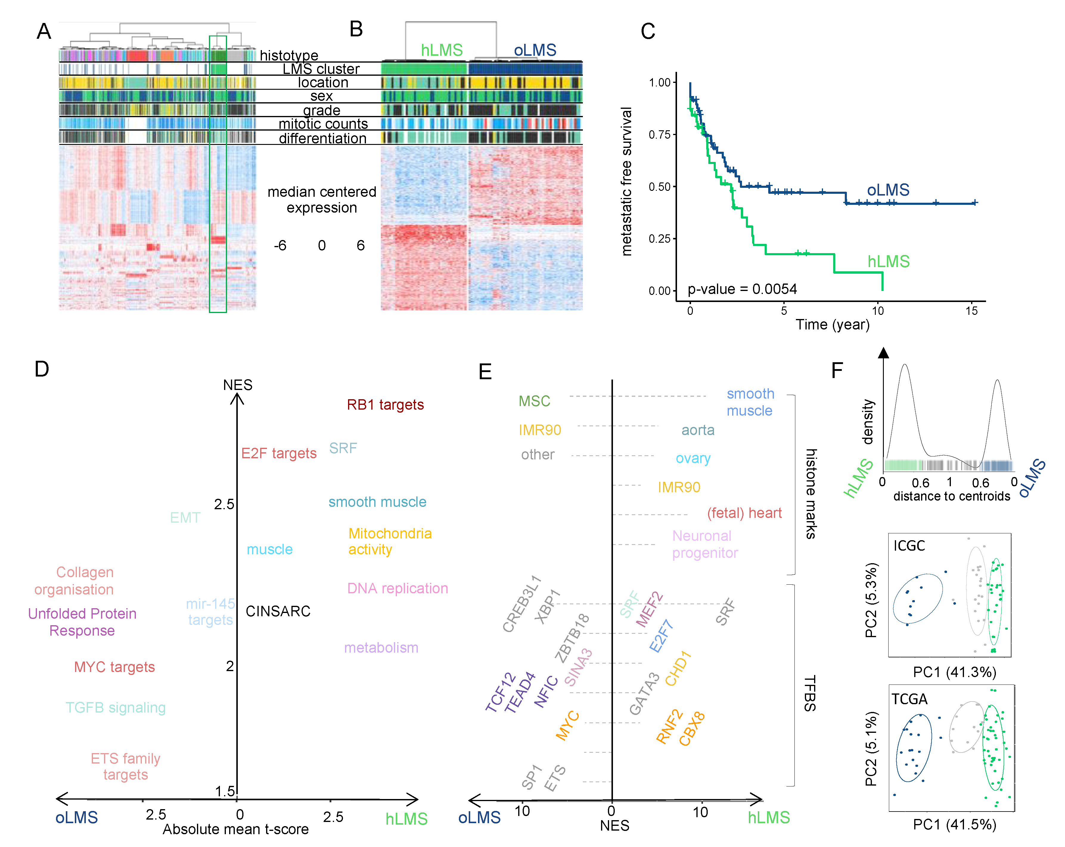 titel indrømme Bliv ved Cancers | Free Full-Text | Distinct Cellular Origins and Differentiation  Process Account for Distinct Oncogenic and Clinical Behaviors of  Leiomyosarcomas