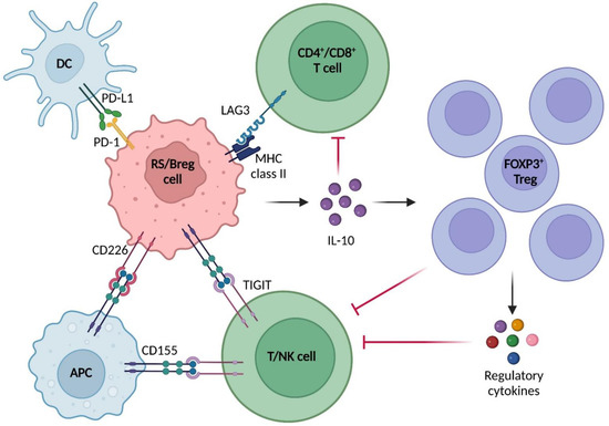 Cancers | Free Full-Text | Immunological Aspects of Richter Syndrome ...