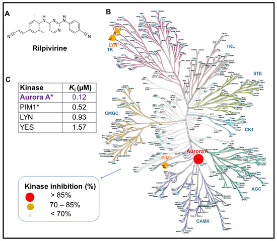 Anti-Leukaemic Activity of Rilpivirine Is Mediated by Aurora A
