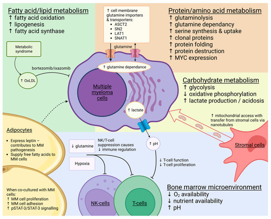 Metabolic Alterations in Multiple Myeloma: From Oncogenesis to ...