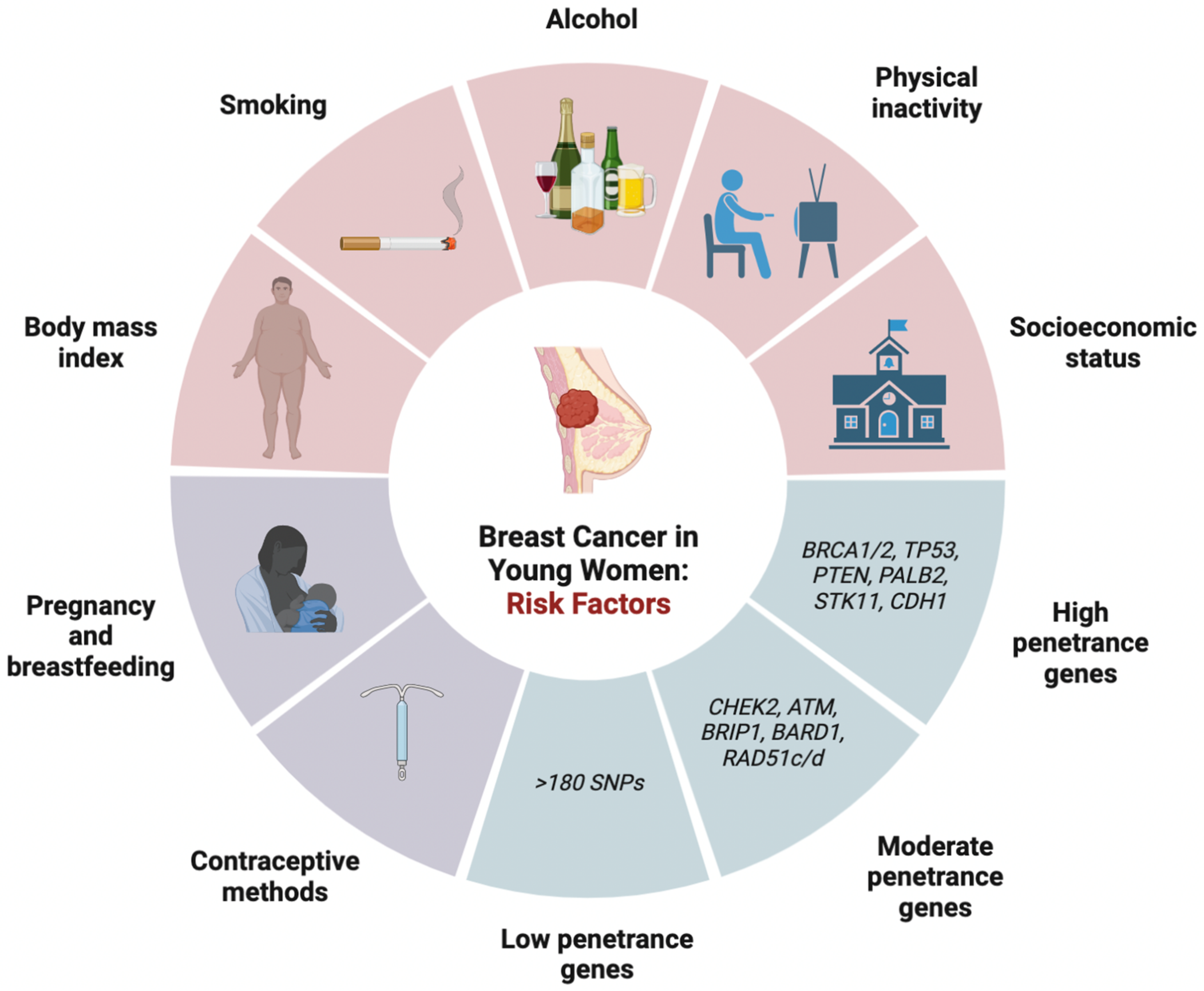 Clinical and Psychosocial Challenges of Breast Cancer in Adolescent and  Young Adult Women Under the Age of 40 Years