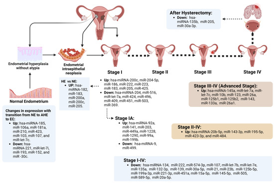 frontiers-imaging-hypoxia-in-endometrial-cancer-how-and-why-should