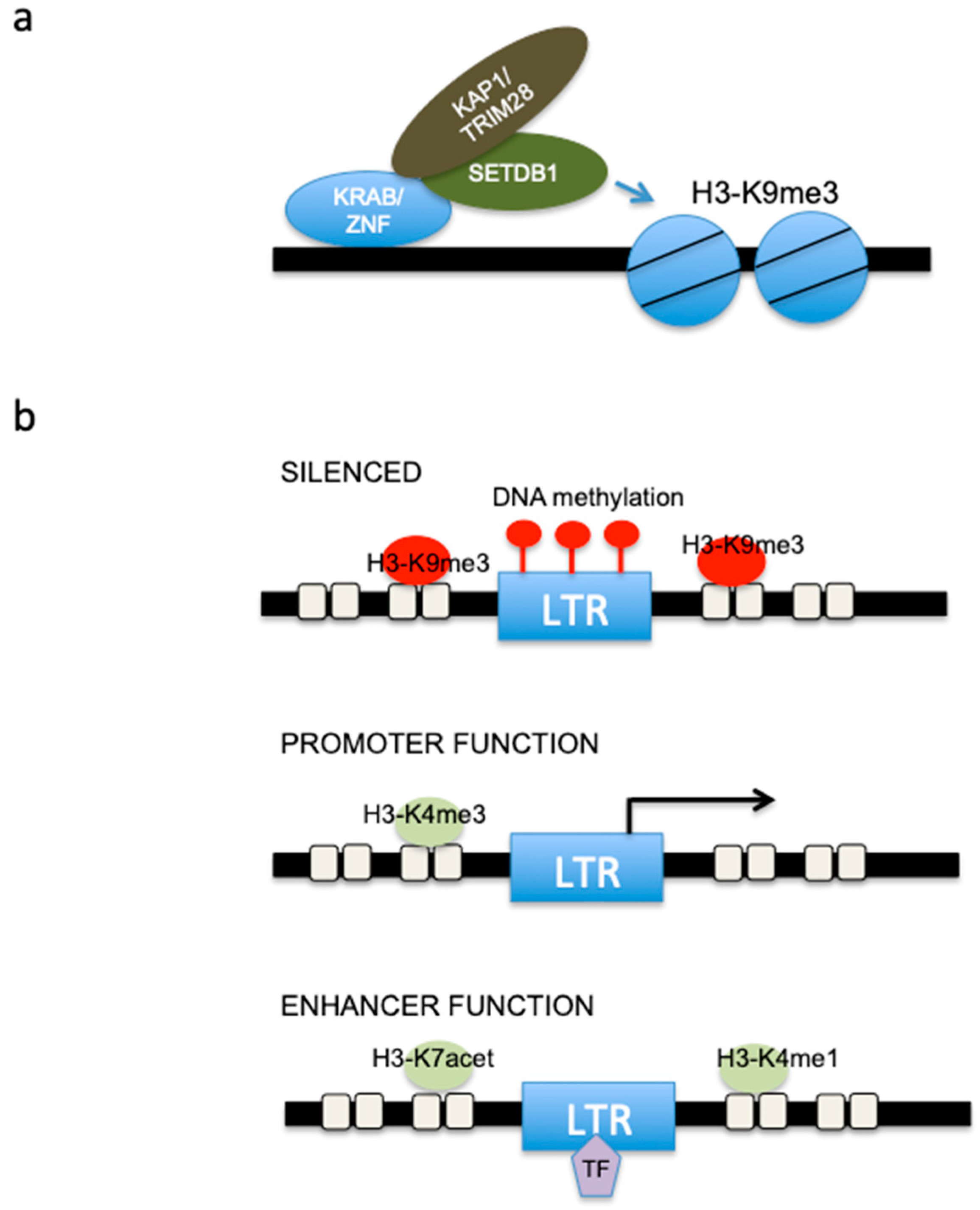 cancers-free-full-text-exploring-the-expression-of-the-dark-matter