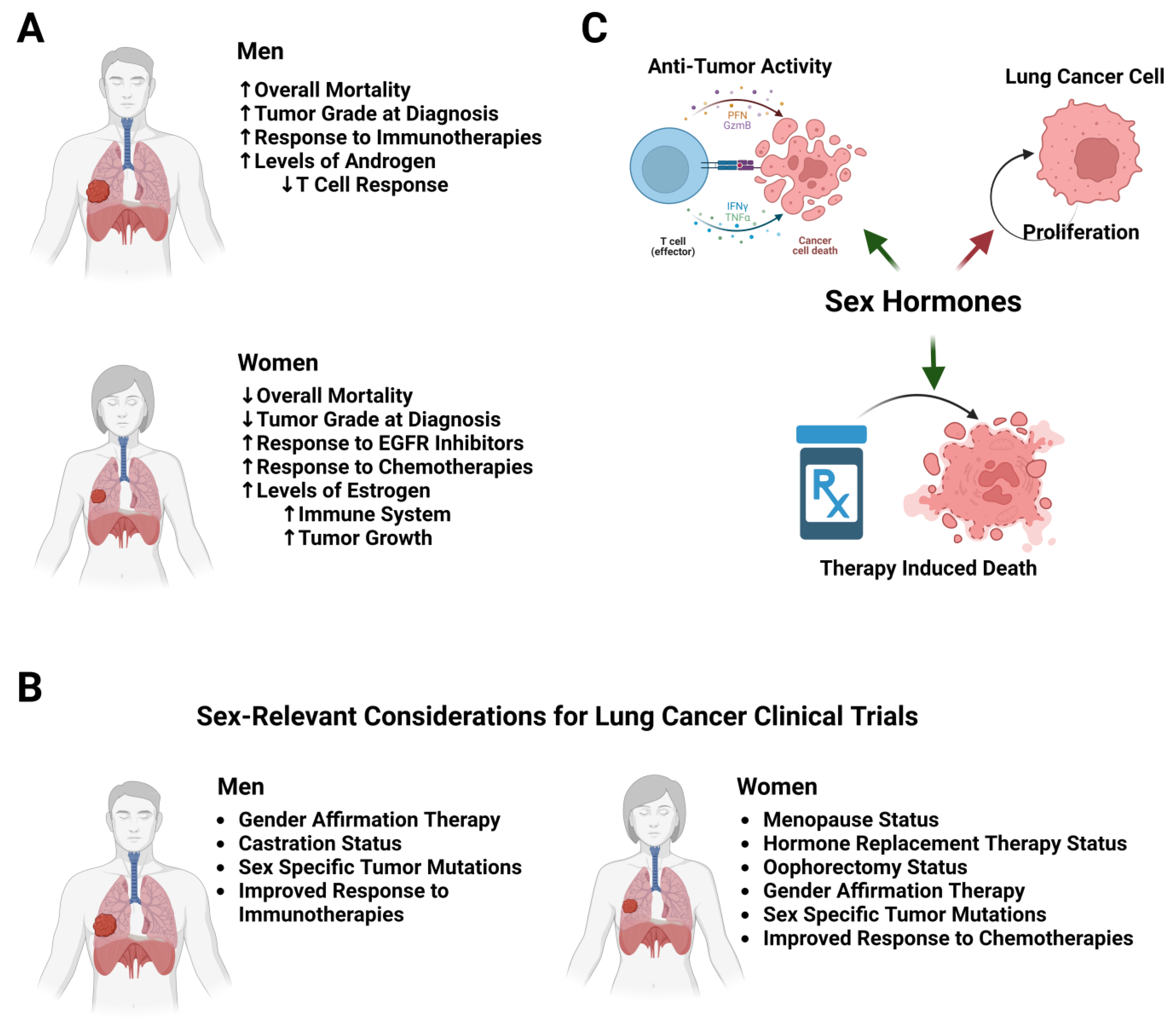 Cancers Free Full-Text Sex Differences in Lung Cancer photo