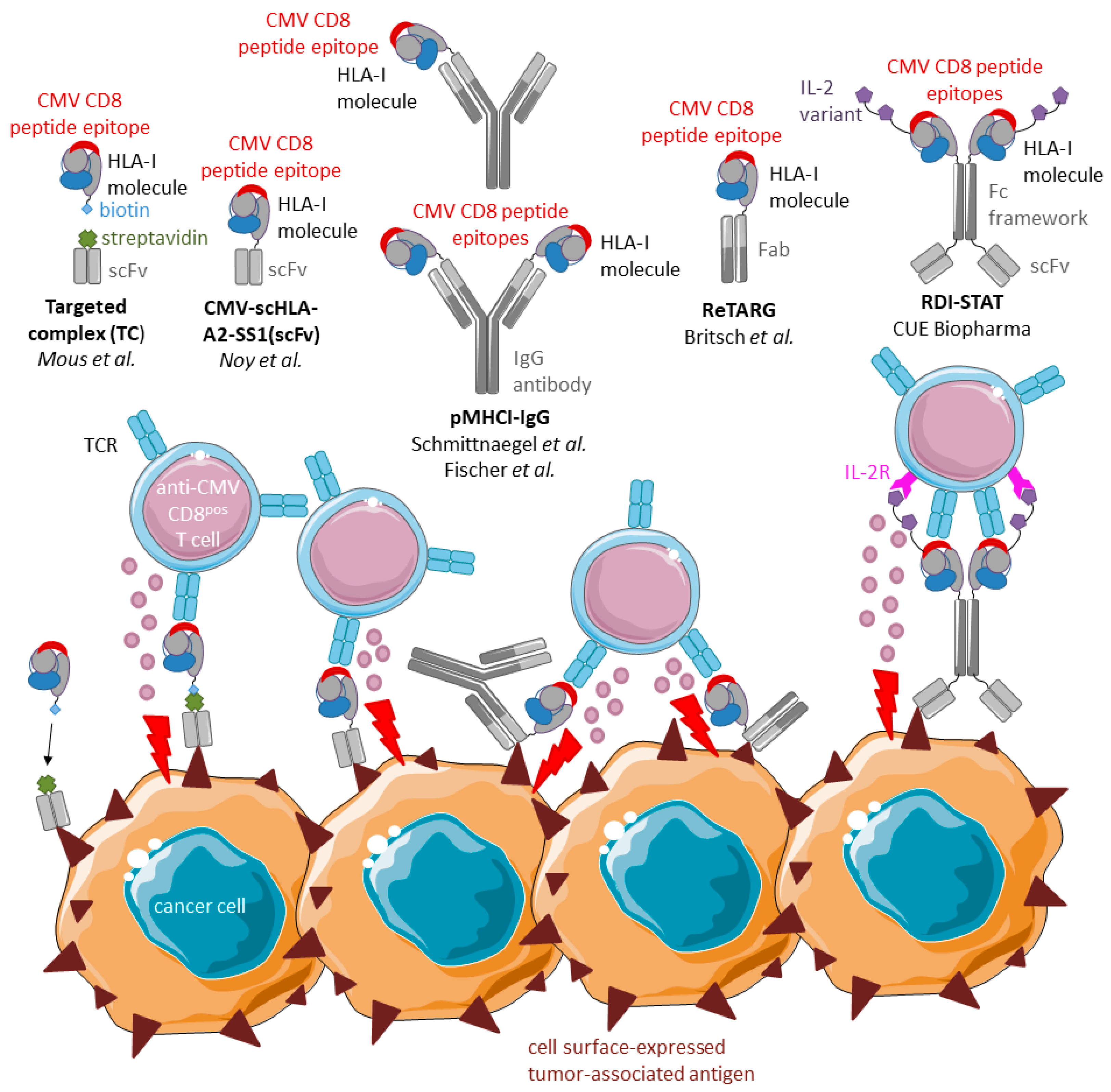 CD8-TAPS | MEN-