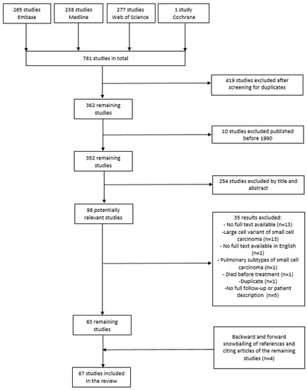 Cancers | Free Full-Text | Small Cell Carcinoma of the Ovary ...