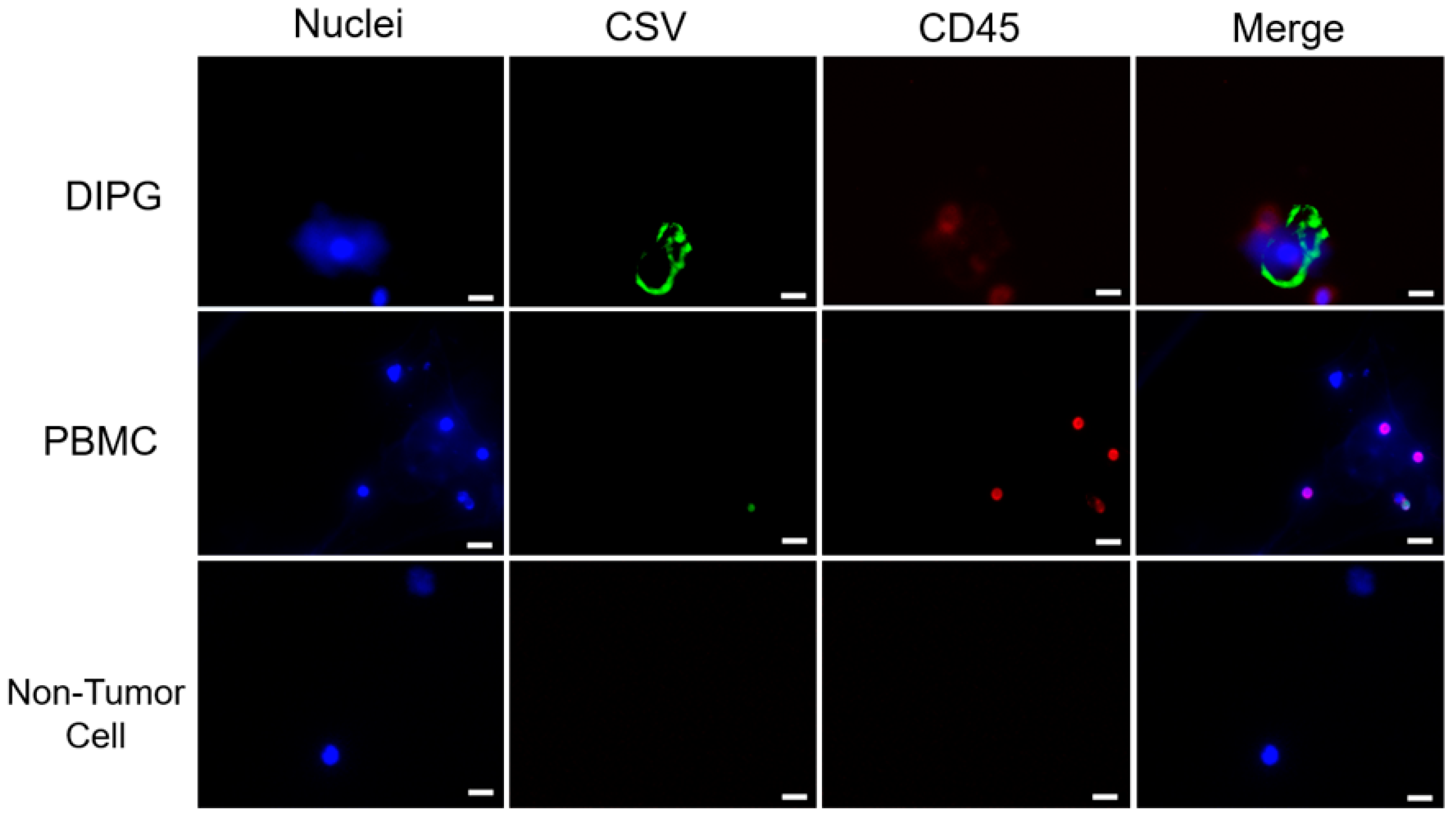 Cancers | Free Full-Text | Automated Capture And Analysis Of ...