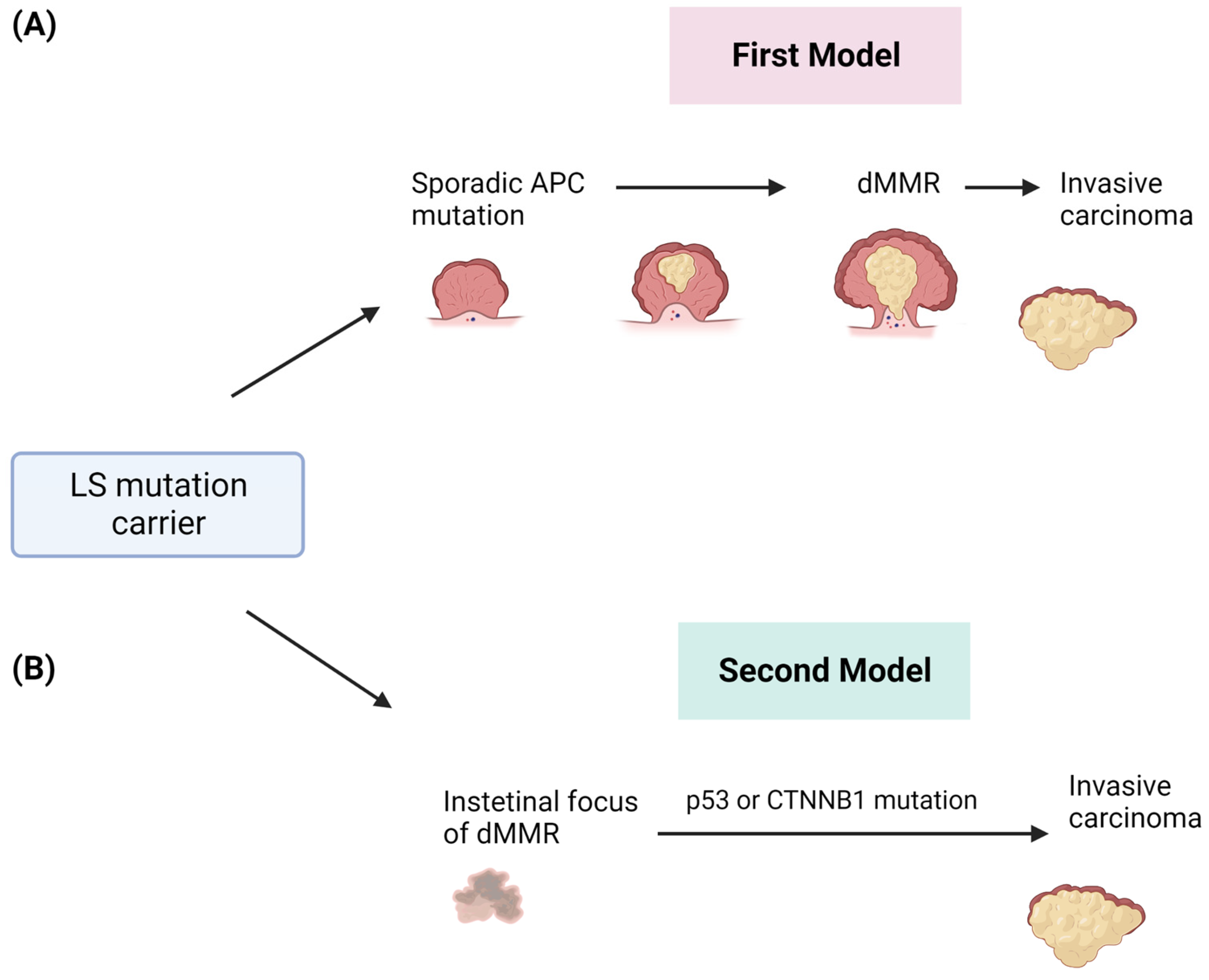 Cancers | Free Full-Text | Lynch Syndrome Biopathology and Treatment ...