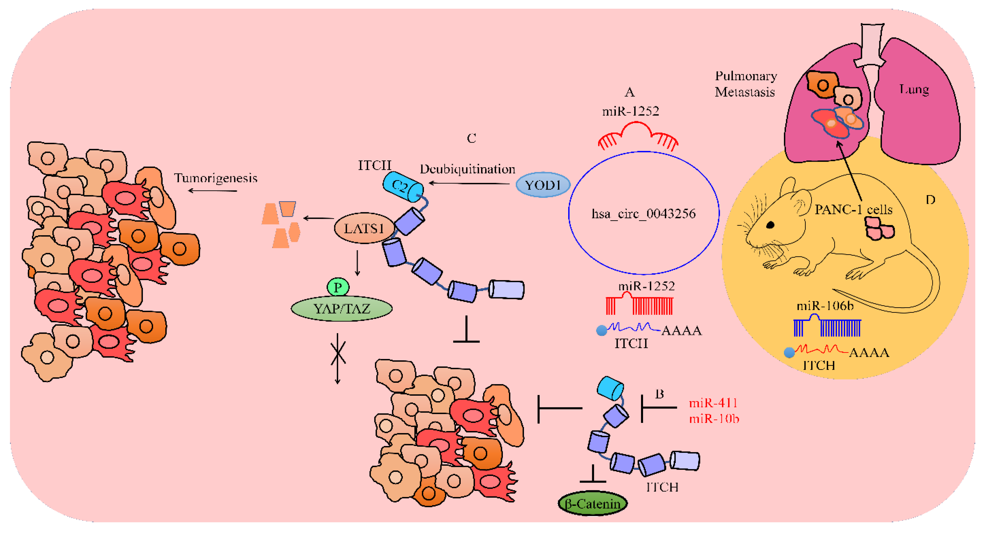 cancers-free-full-text-unraveling-the-complex-web-of-mechanistic