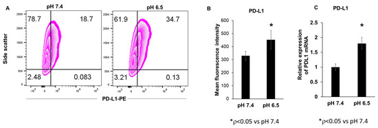 Cancers | Free Full-Text | Immunotherapy Enhancement by Targeting