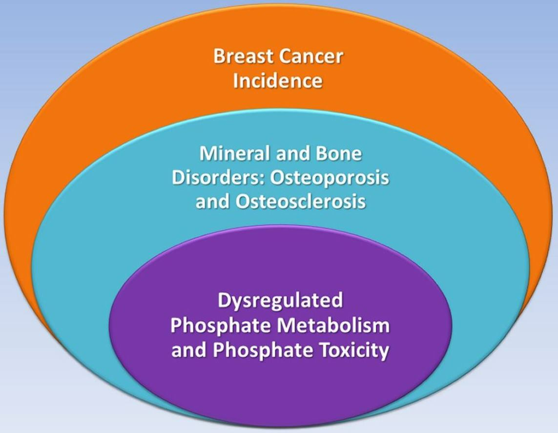 Cancers | Free Full-Text | Breast Cancer and Bone Mineral Density in a ...