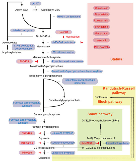 https://pub.mdpi-res.com/cancers/cancers-15-05177/article_deploy/html/images/cancers-15-05177-g001-550.jpg?1698634537