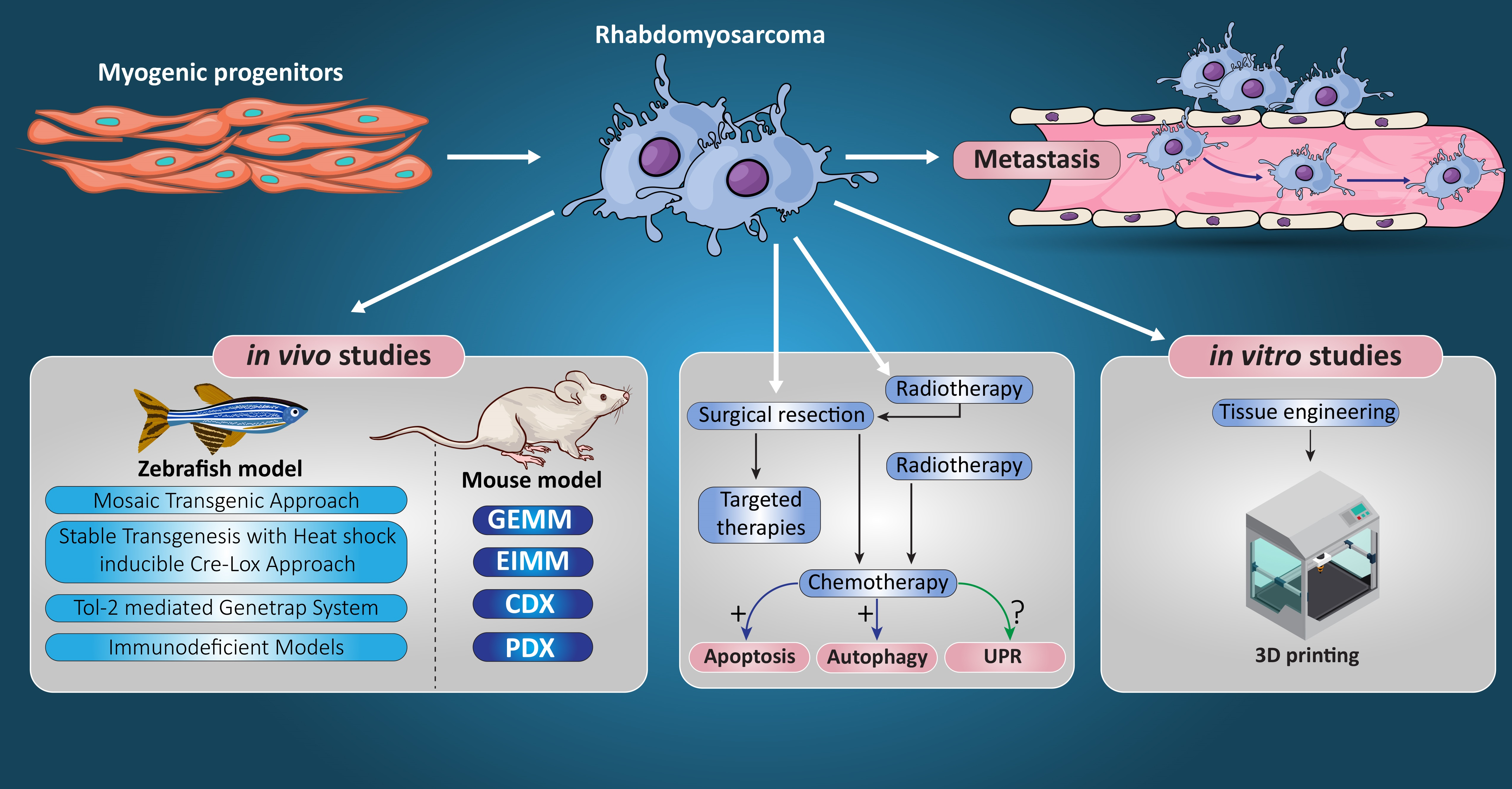 Cancers | Free Full-Text | Rhabdomyosarcoma: Current Therapy 