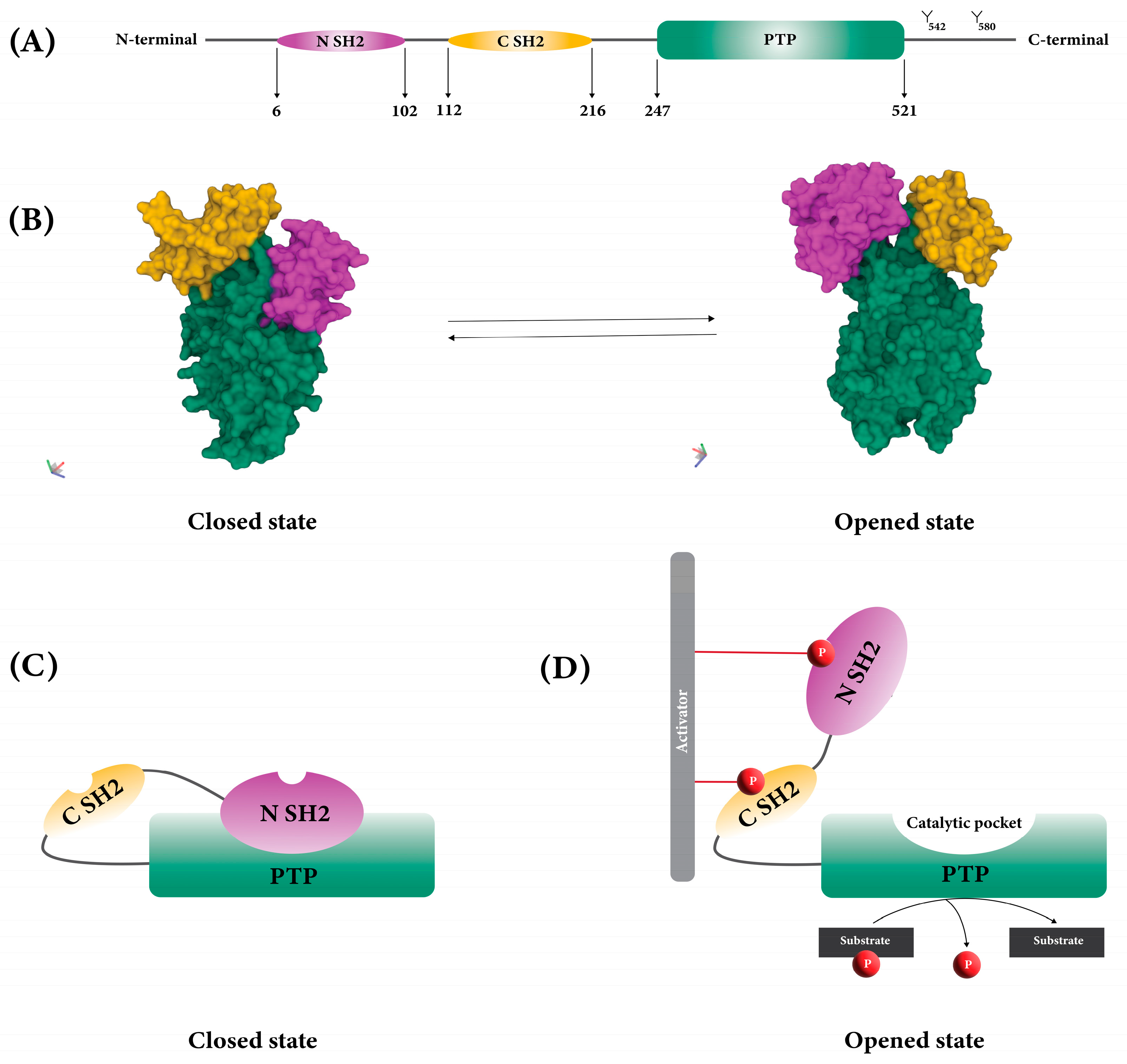 Cancers | Free Full-Text | Overcoming Immune Checkpoint Therapy 