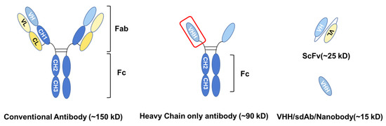 【現品限り一斉値下げ！】 and Diagnostic Promising Therapeutic on Based Approaches ベビー用食器