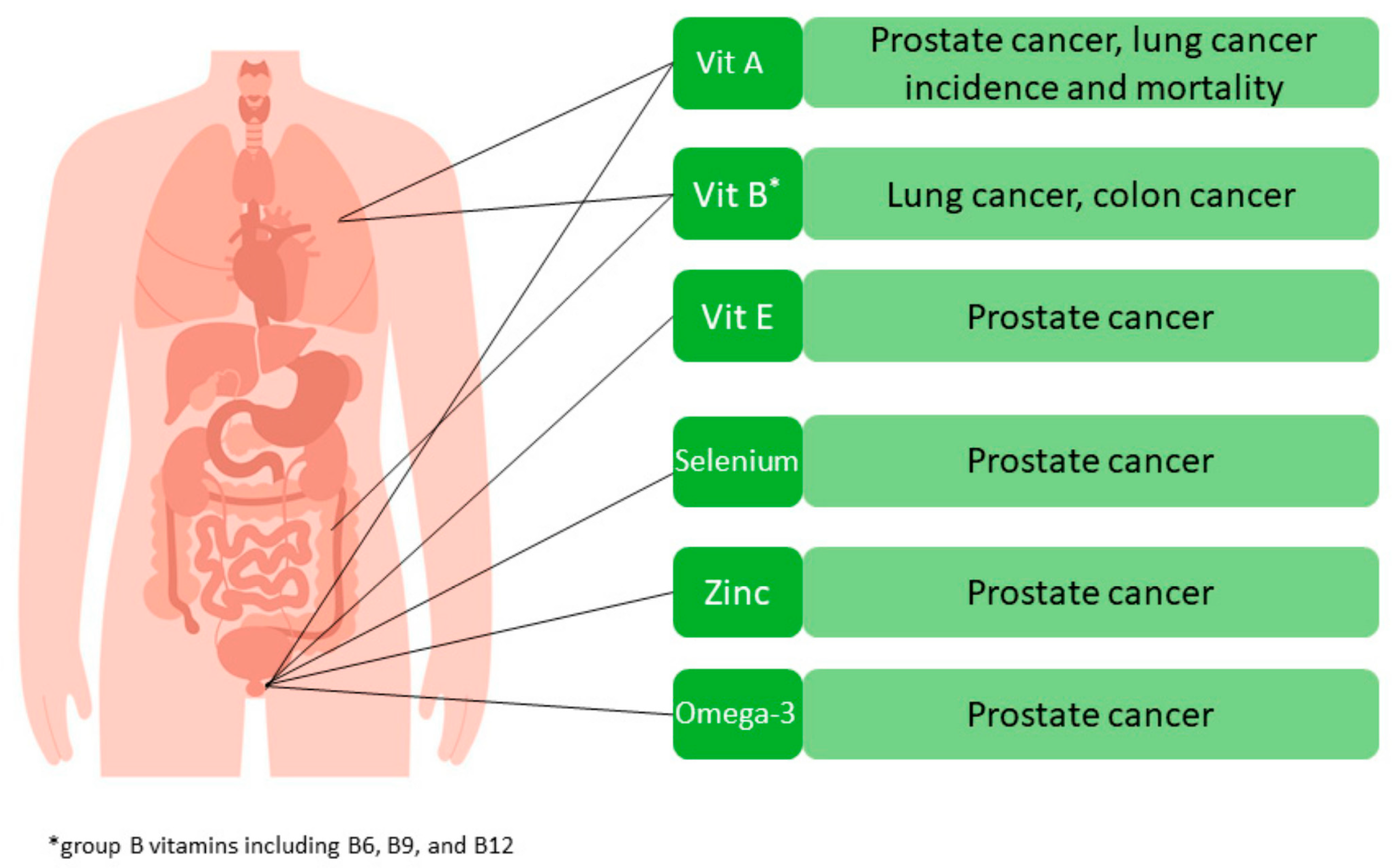 Cancers | Free Full-Text | Supplement Use and Increased Risks of Cancer:  Unveiling the Other Side of the Coin