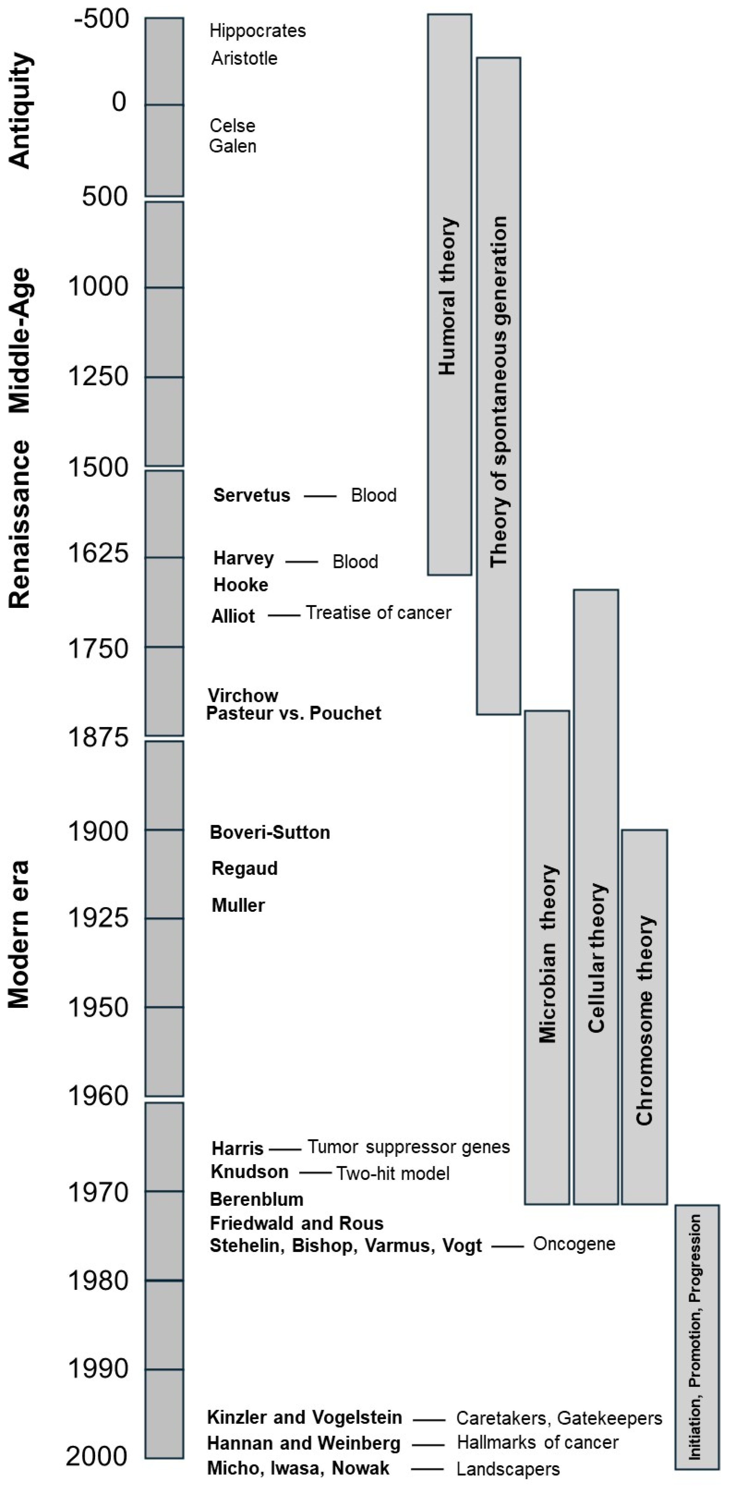 Cancers | Free Full-Text | When DNA Mutations Interplay with Cellular  Proliferation: A Narrative History of Theories of Carcinogenesis