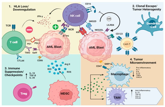 Cancers | Free Full-Text | The Immune Resistance Signature of Acute ...