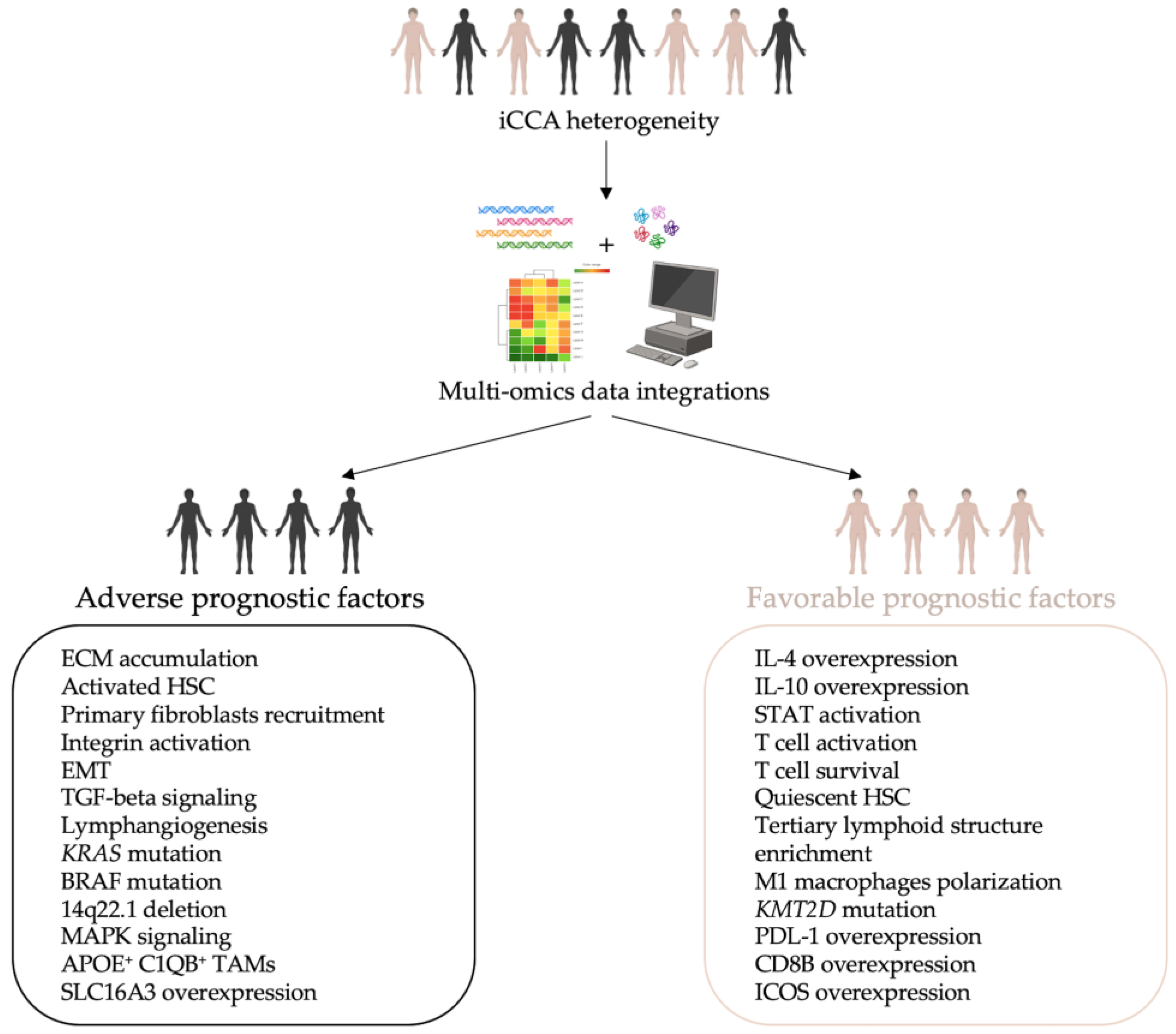 Cancers | Free Full-Text | Unveil Intrahepatic Cholangiocarcinoma ...