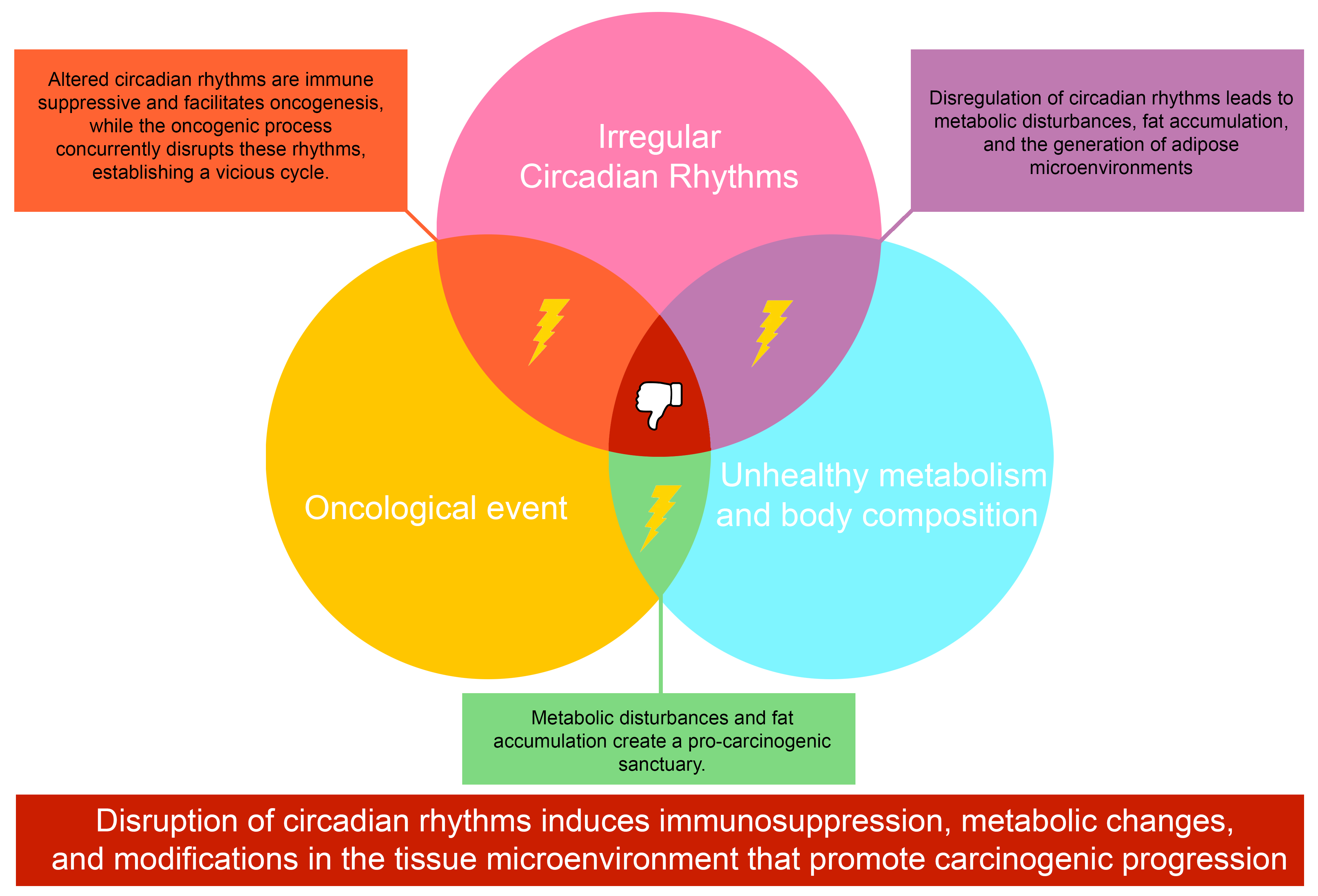 Impact of Modern Lifestyle on Circadian Health and Its Contribution to  Adipogenesis and Cancer Risk