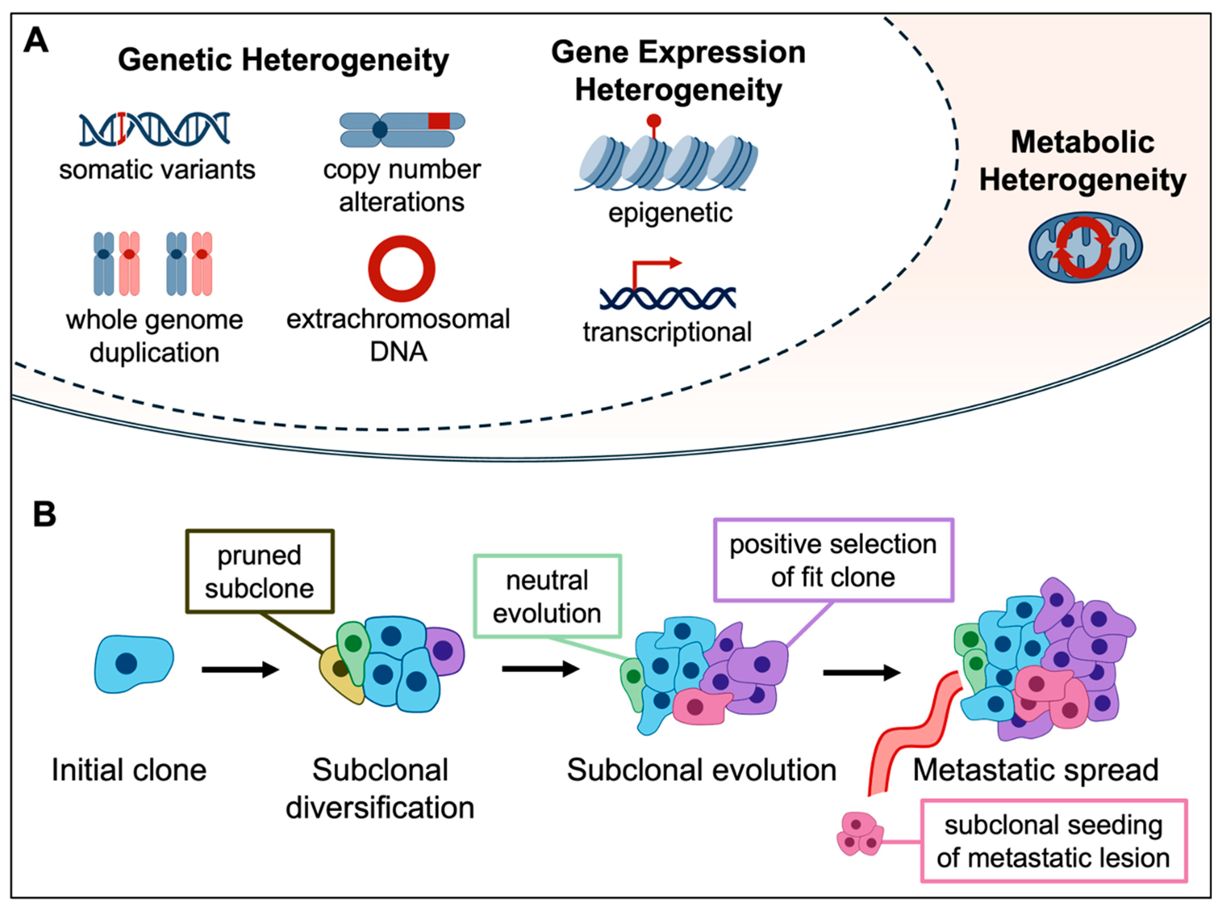 Tumor Heterogeneity and the Immune Response in Non-Small Cell Lung ...