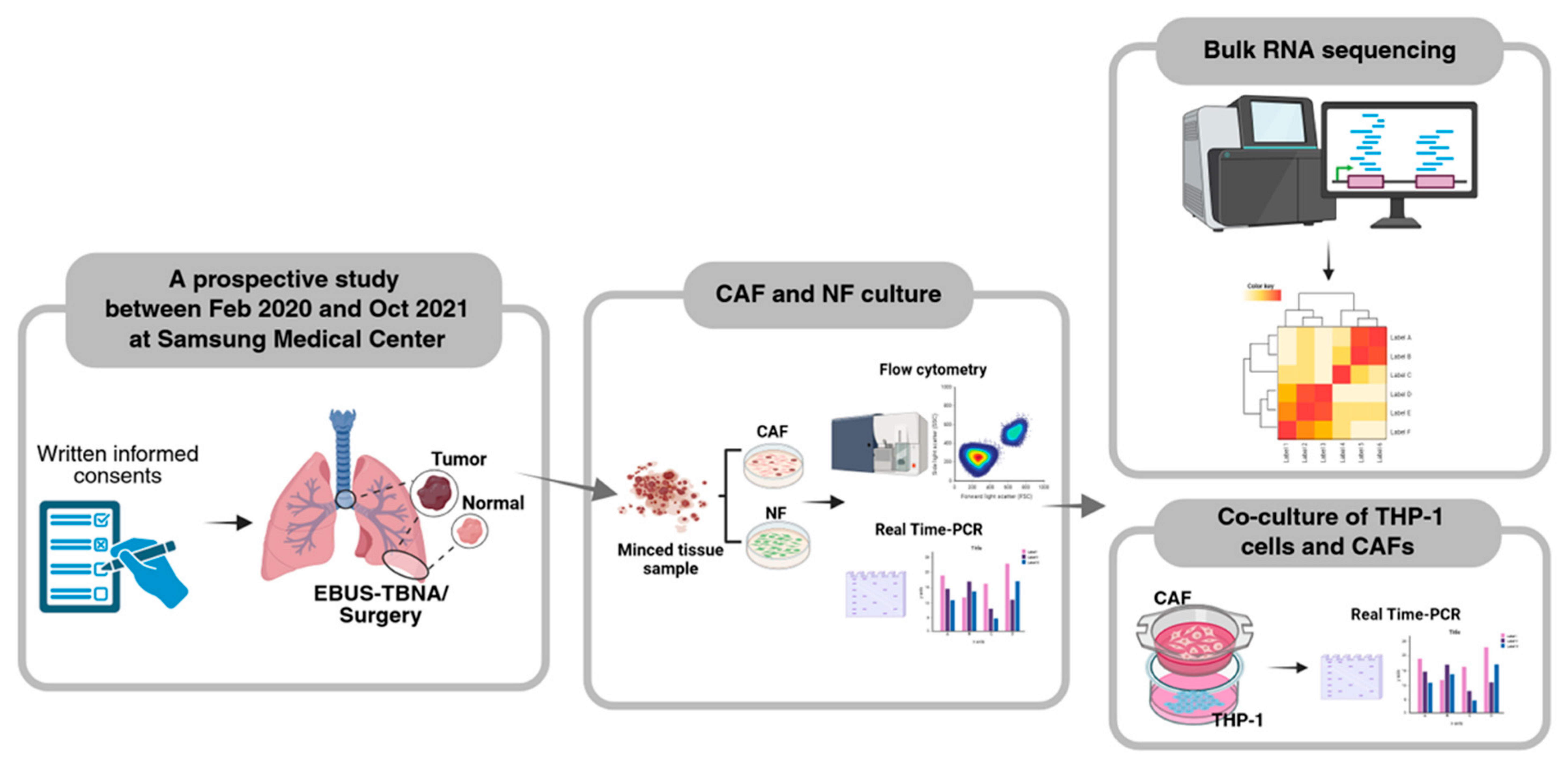 Identification of GREM-1 and GAS6 as Specific Biomarkers for