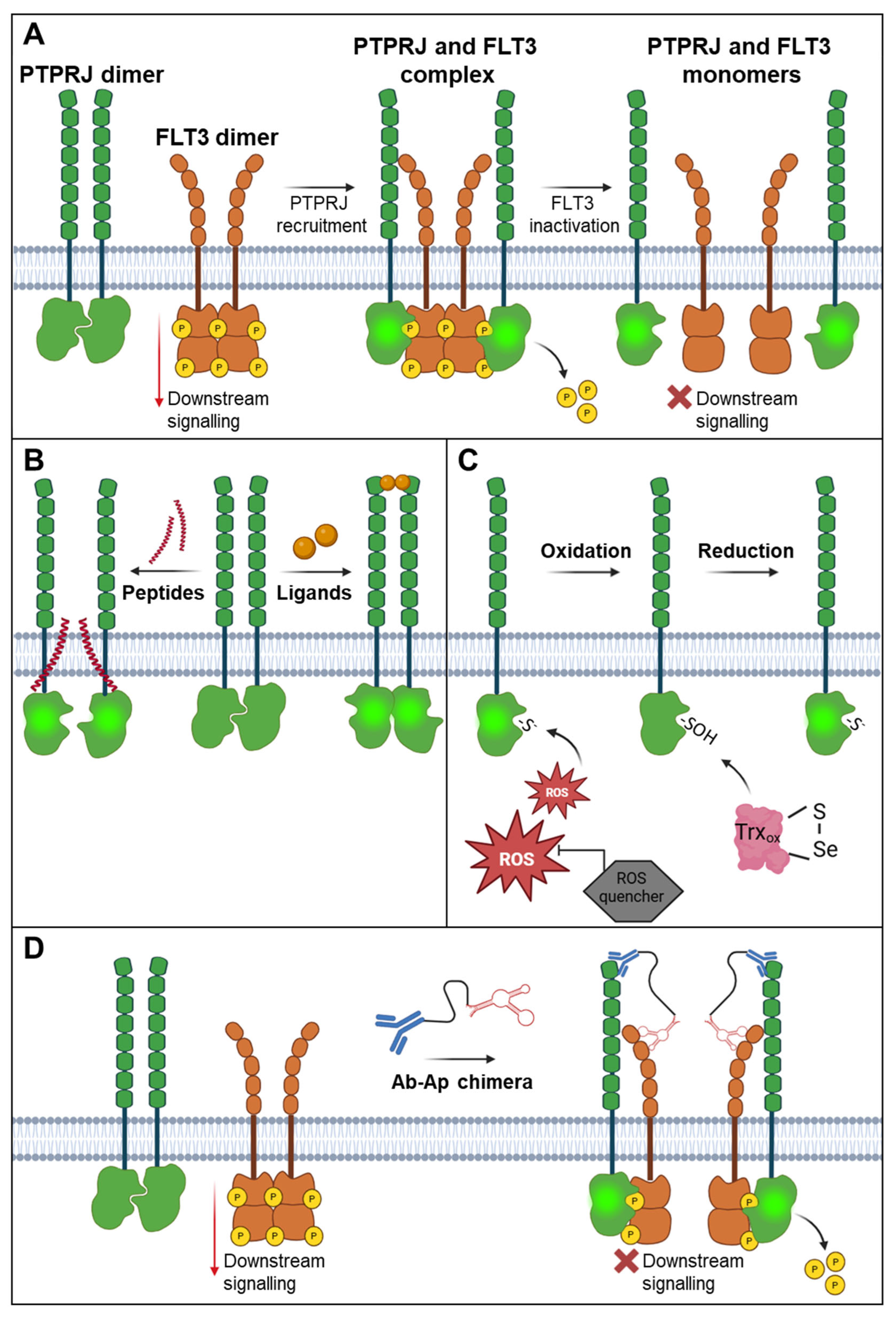 アブ ベイトリール Abuモラム