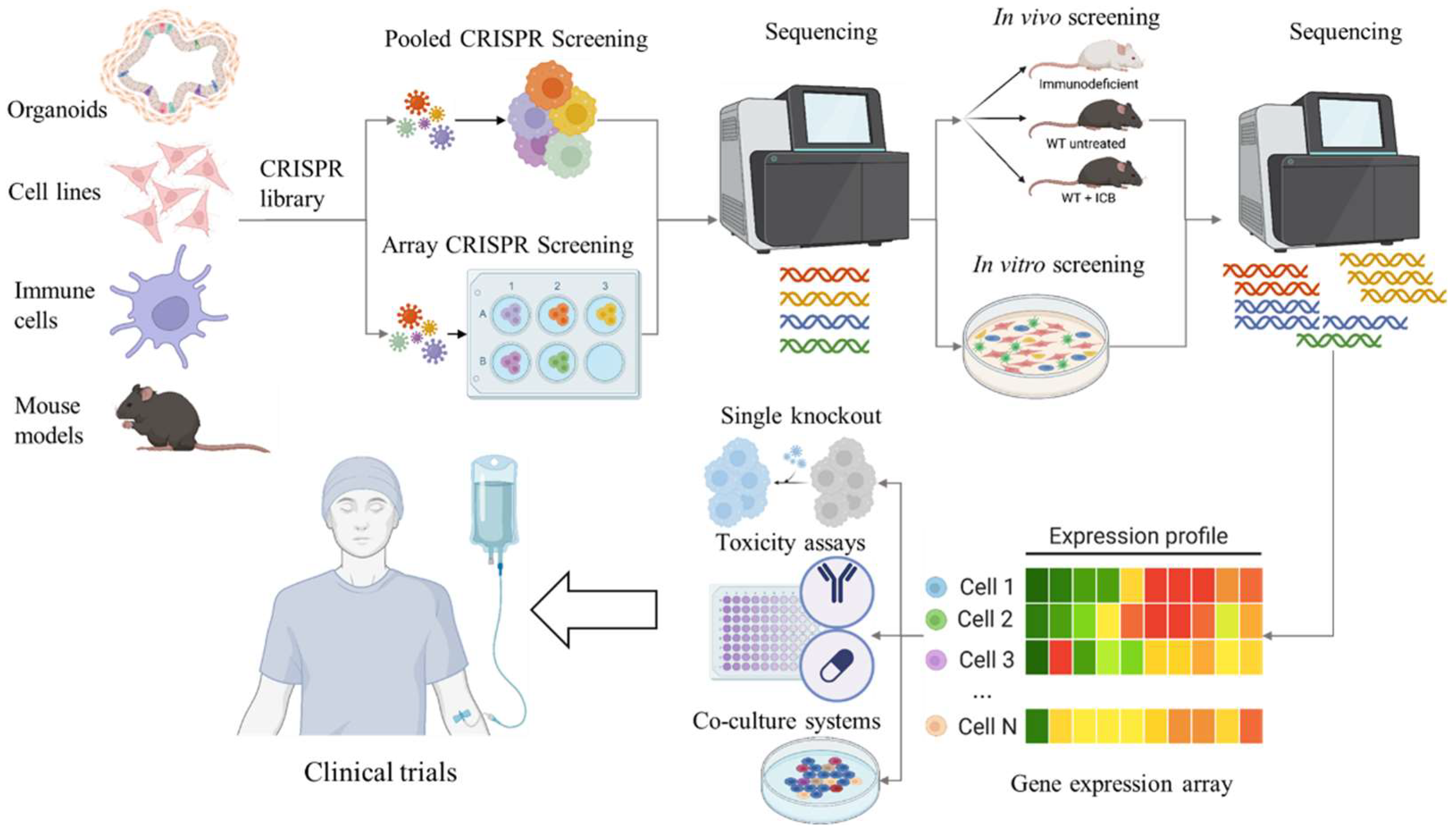 Developing New Immunotherapy Approaches for Colorectal Cancer