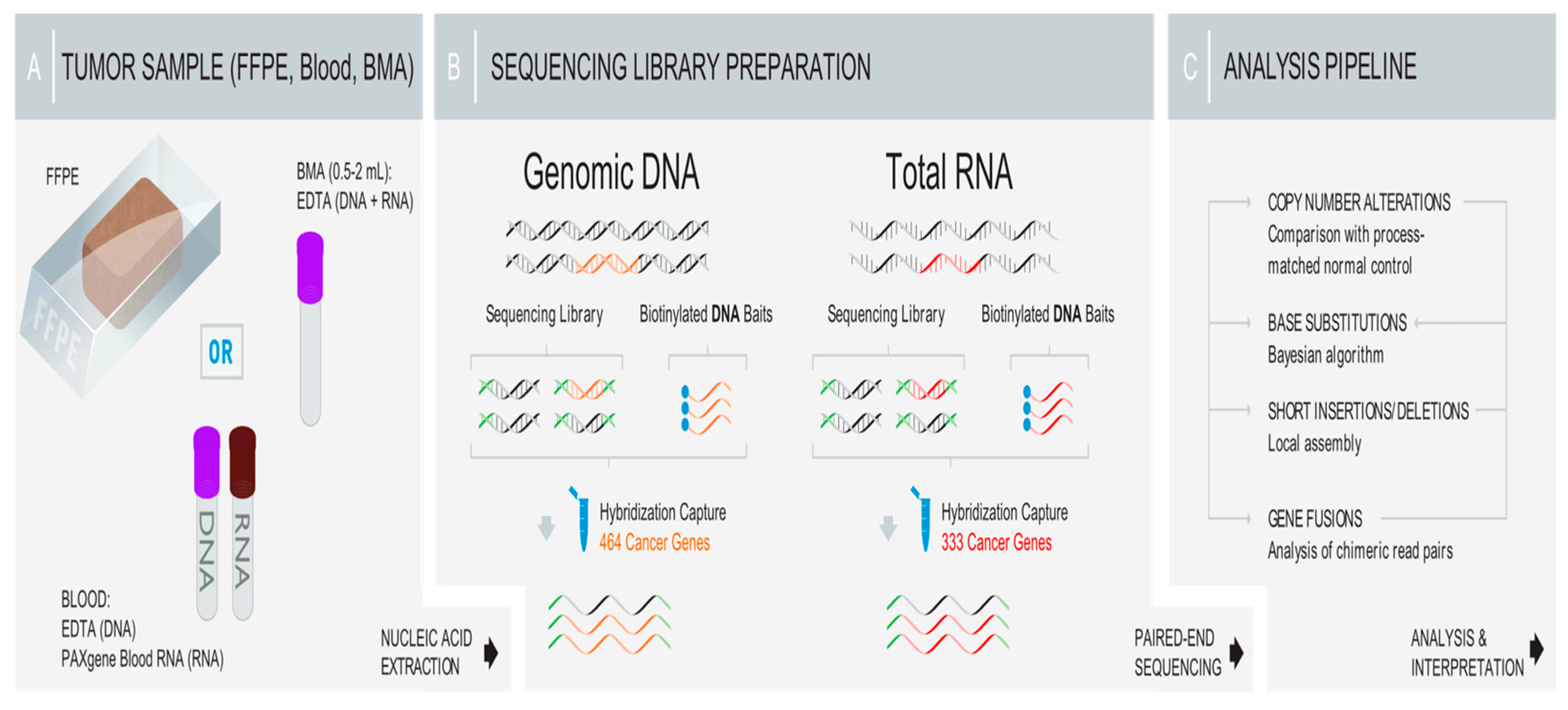 Characterizing KMT2A Rearrangement in Acute Myeloid Leukemia: A ...