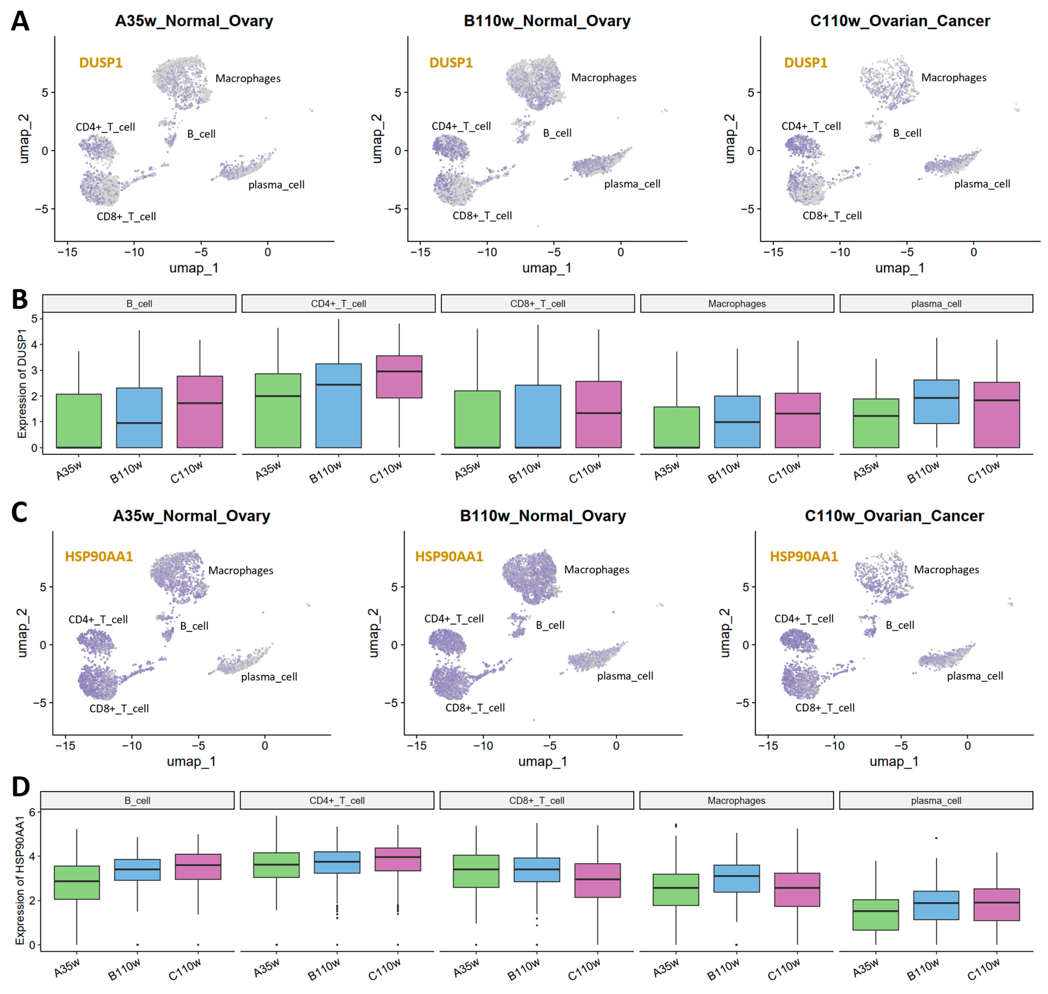 Single-Cell Transcriptomic Atlas of Chicken Ovarian Aging and Cancer ...