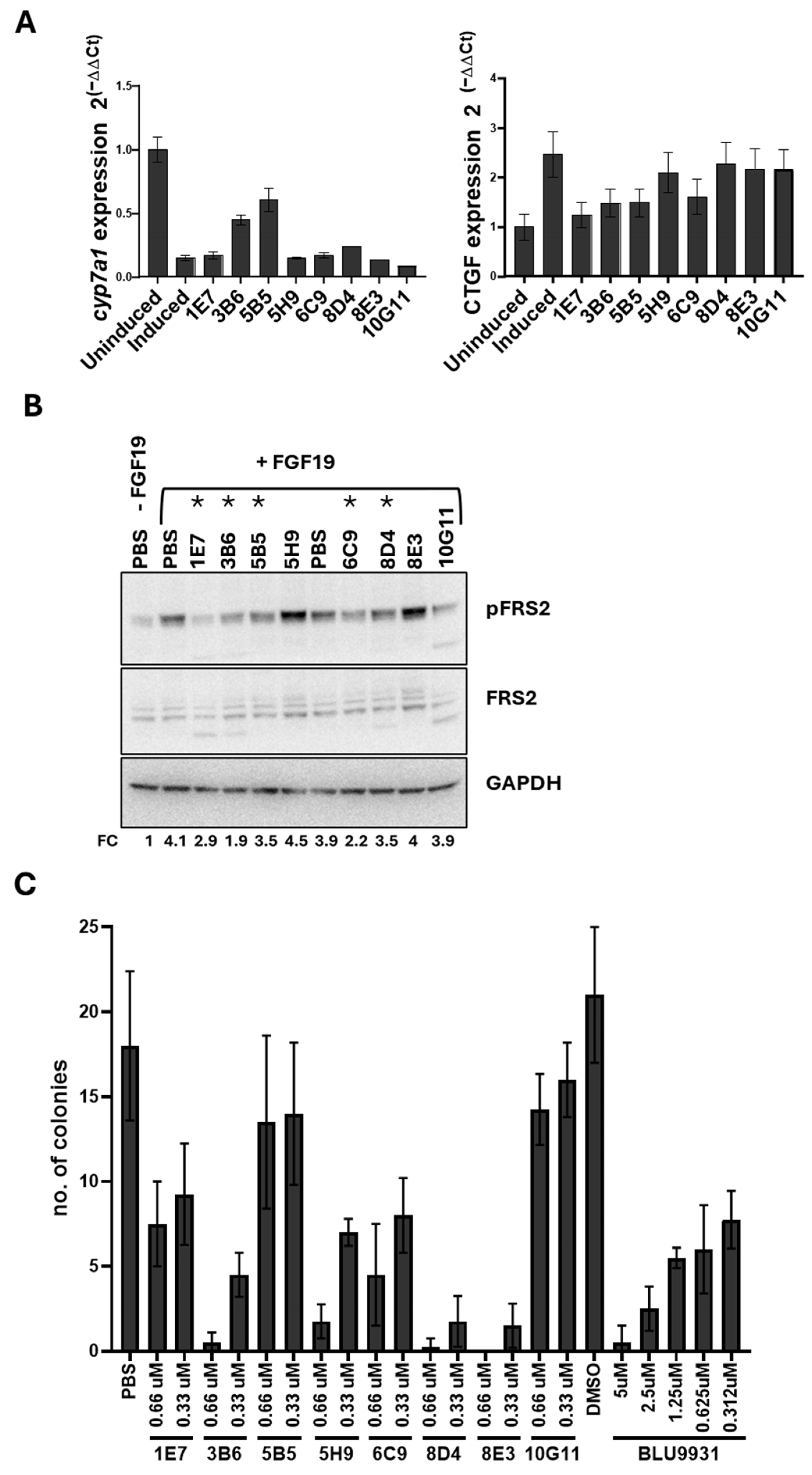 Targeting Colorectal Cancer Stem Cells Through Inhibition of the ...